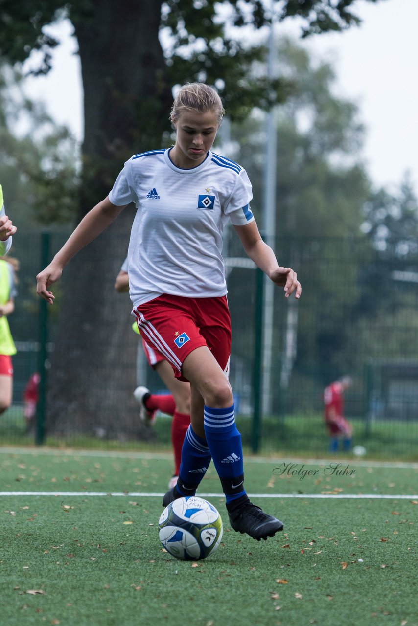 Bild 341 - C-Juniorinnen HSV - Walddoerfer : Ergebnis: 9:1